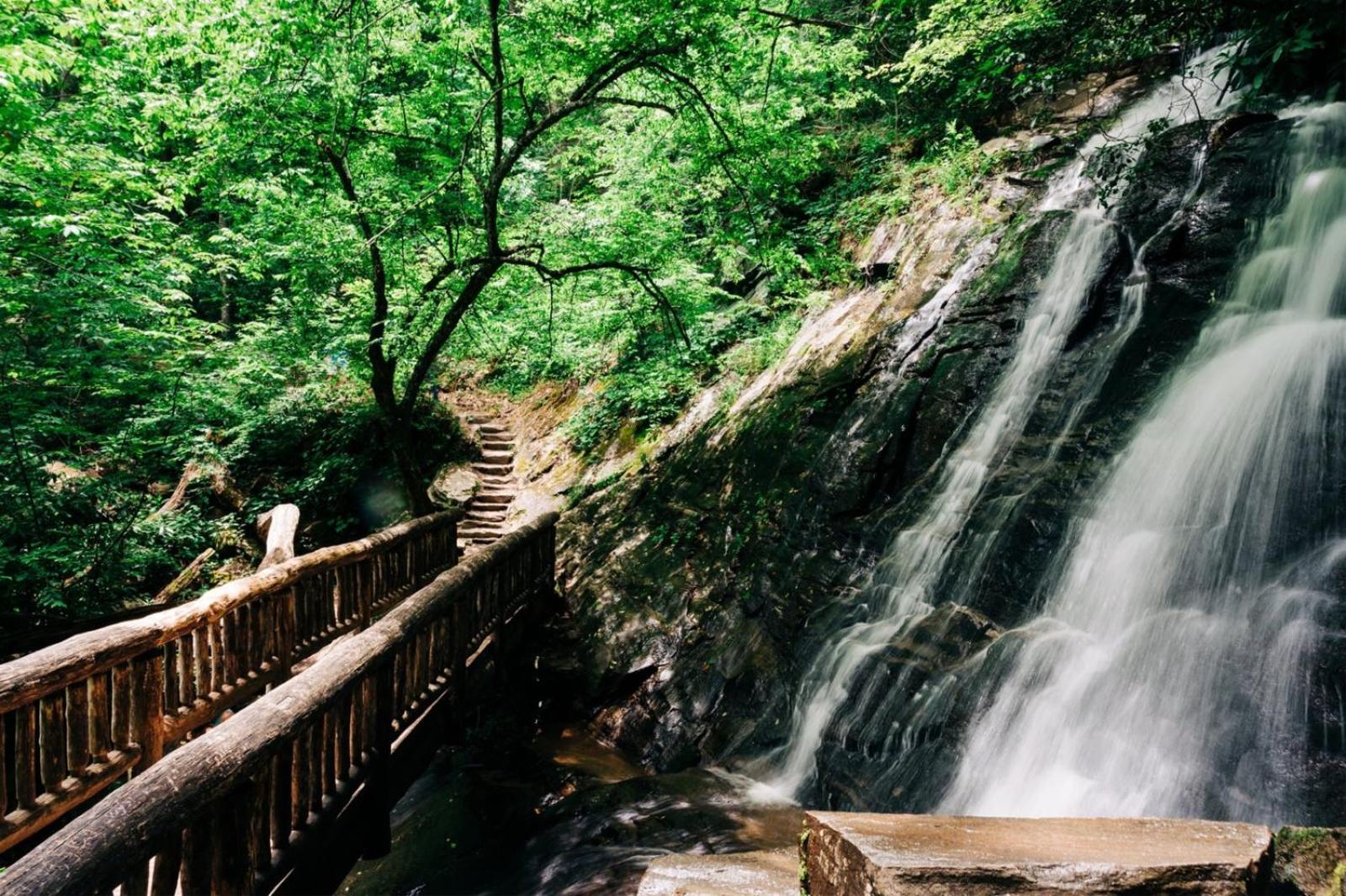 Hidden Star Hideaway-Blackberry Farm-Smoky Mtn Nat Park-Hot Tub- Fire Pit- Fenced Yard- Pet Friendly Walland Exterior foto